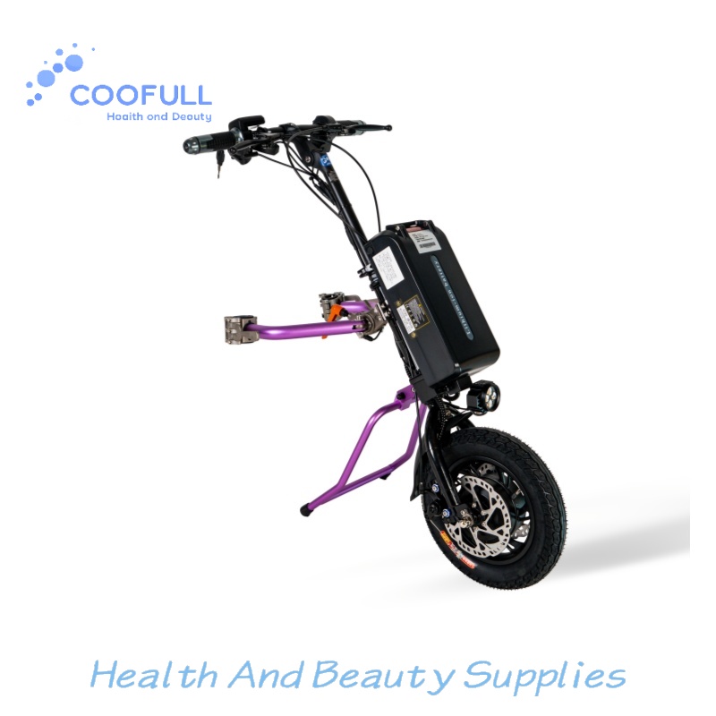 Electrical - Coofull Heibao 350W 48V 15Ah, autonomia